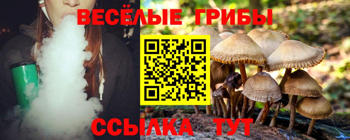 сколько стоит  Вход с VPN  Кандалакша  Галлюциногенные грибы Magic Shrooms 